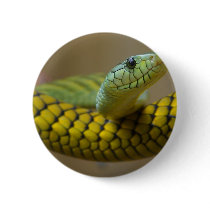 Snake Reptile Pinback Button