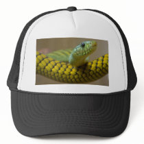 Snake Reptile hats