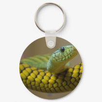 Snake Reptile keychains