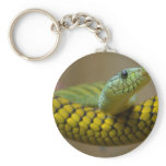 Snake Reptile keychains