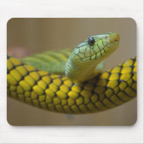 Snake Reptile mousepads by lifesphere Snake Reptile mousepads