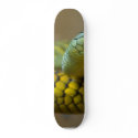 Snake Reptile skateboards