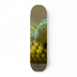 Snake Reptile Skate Deck