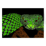 Snake rock! cards