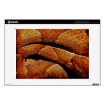 Snake Scale Serpent Scale Art Snake Skin Decals For Laptops