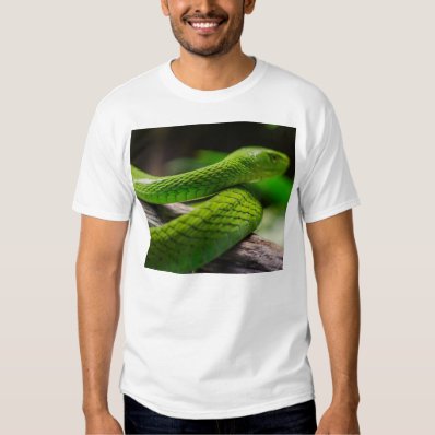 Snake? Shirt