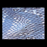 Snake Skin Poster1 posters