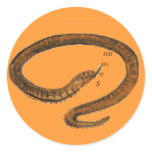 Snake Sticker stickers