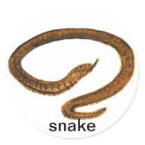 Snake Sticker