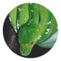 Snake Stickers by mlane53 Snake Stickers