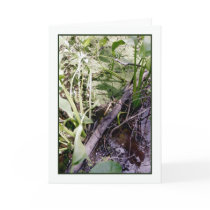 Snake Sunbath Greeting Card