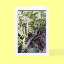 Snake Sunbath Greeting Card