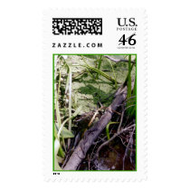 Snake Sunbath Stamp