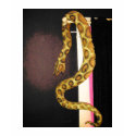 Snake t-shirts