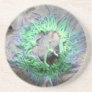 Snakelocks anene coaster