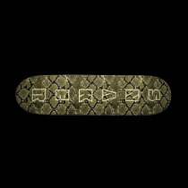 Snaker skateboards