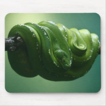 Snakes eat Mice mousepads