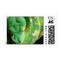 Snakes Green Tree Python postage