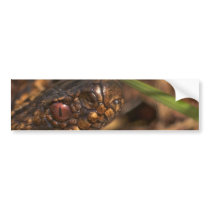 Snakes Head Bumper Stickers