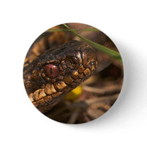 Snakes Head Button Badge