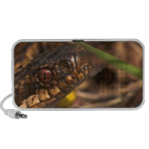 Snakes Head Doodle Speakers