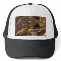 Snakes Head Hat