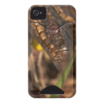 Snakes Head iPhone 4/4S Case ID Iphone 4 Id Cover
