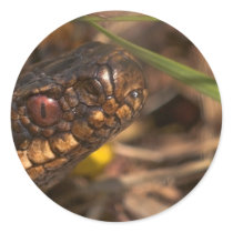 Snakes Head  Stickers