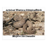 Snakes of Arizona Post Cards