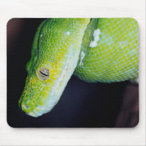 Snakes on a Mouse Pad mousepads