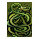 Snakes Post Cards