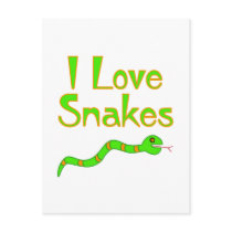 Snakes Post Card
