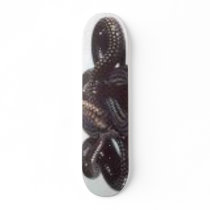 snakes skate deck