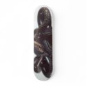 snakes skateboards