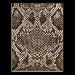 snakeskin postcards