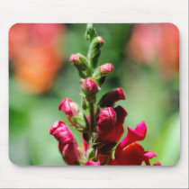 Snapdragon Flowers mousepads