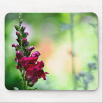 Snapdragon Flowers mousepads