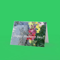 Snapdragon Mother's Day cards