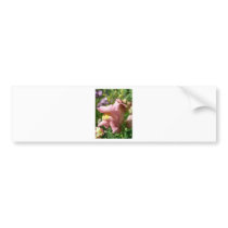 Snapdragon Pink bumper stickers