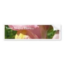 Snapdragon Pink bumper stickers