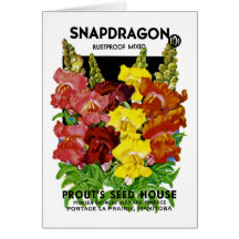 Snapdragon Vintage Seed Packet Greeting Cards