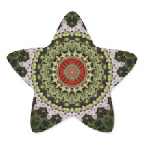 Snapdragons Kaleidoscope 9 Star Stickers