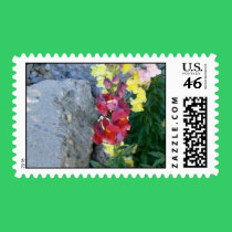 Snapdragons postage