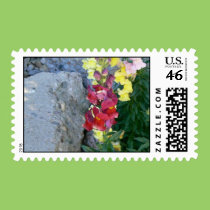 Snapdragons postage