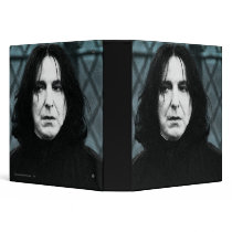 Snape 1 vinyl binders