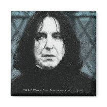 Snape 1 magnets