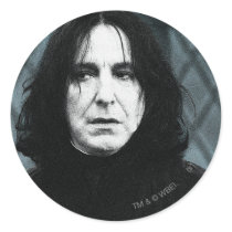 Snape 1 round stickers