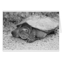 snapping turtle cards by vanishingsky snapping turtle cards