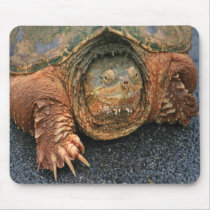 Snapping Turtle 'Have a nice day' mouse pad mousepads by Karibophoto Snapping Turtle 'Have a nice day' mouse pad mousepads