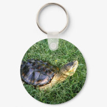 Snapping Turtle Keychain #1 by cyrax037 Snapping Turtle Keychain #1
